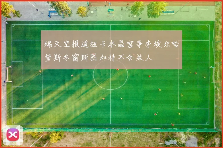瑞天空报道纽卡水晶宫争夺埃尔哈努斯冬窗斯图加特不会放人