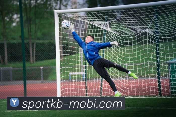 KB体育平台生态图